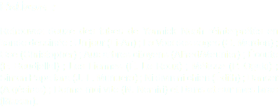 L'album : Retrouvez douze des tubes de Yannick Noah réinterprétés en bande dessinée : Un jour (Li-An) ; La Voix des sages (G. Mardon) ; Ose (Christopher) ; Aux arbres citoyens (Alfred/Meunier) ; Écoute (F. Boudjellal) ; Les Lionnes (É. Le Roux) ; Métisse (P. Ogaki) ; Simon Papa tara (J.-L. Munuera) ; Ni divin ni chien (Édith) ; Danser (Algésiras) ; Donne-moi vite (N. Nemiri) et Dans et sur mes bras (Mazan).