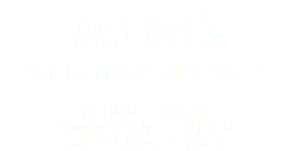 MIMO Sur la traces des Dinos DETHAN - MAZAN TOURNEPICHE - ALLAIN aux éditions EIDOLA