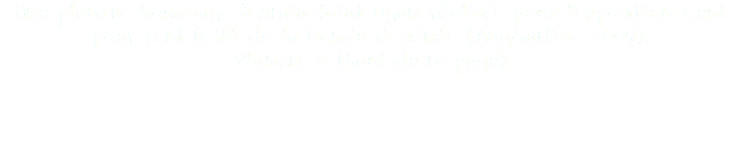 Une planche hommage à Alain Saint Ogan réalisée pour l'exposition Cent pour cent (Cité de la Bande dessinée (Angoulême 2009). Planche A (haut de la page)