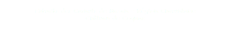  Extraits des Carnets de Mazan - Région Charentaise Château de Cognac