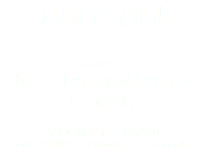  BOUZOUK tome 4 dans les griffes de Ggrok MONCOMBLE - MAZAN aux éditions Romans Casterman